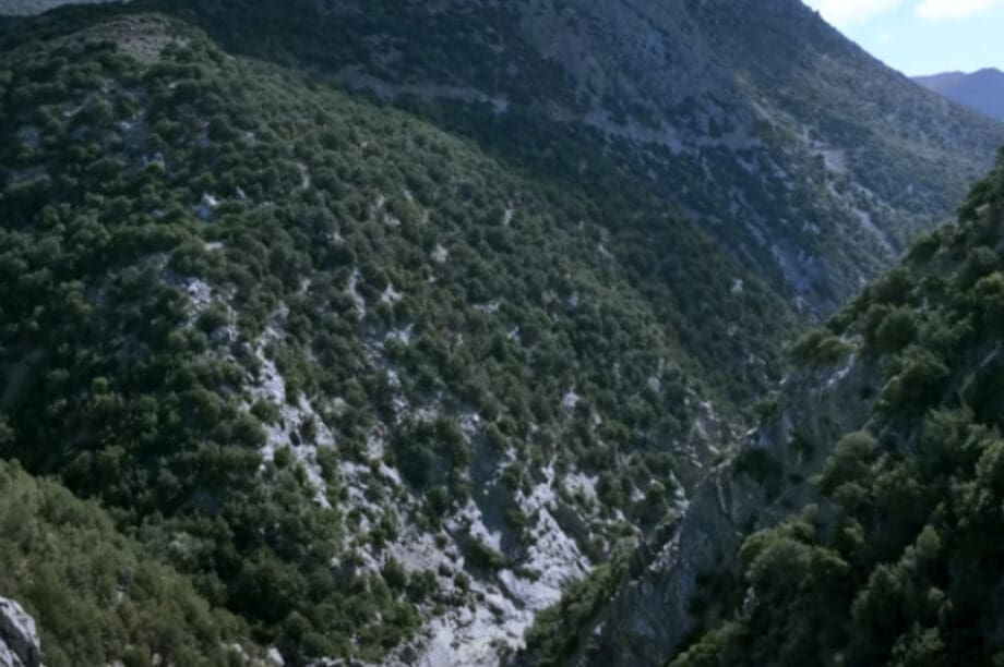 Φαραγγι