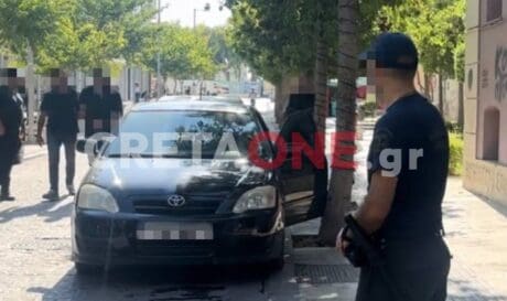 ξυλόδαρμός Ελληνοκαναδού