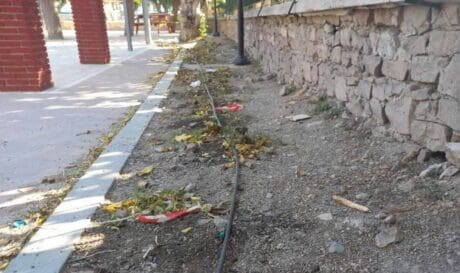 λουλούδια