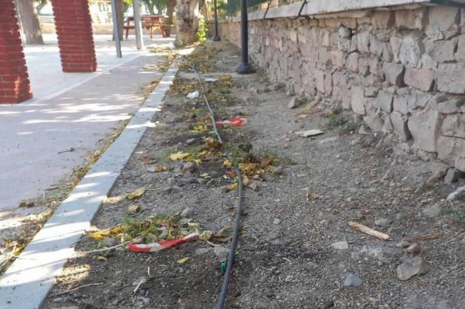 λουλούδια