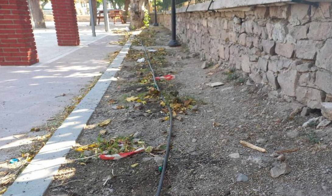 λουλούδια