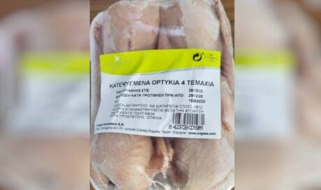 Ορτυκια
