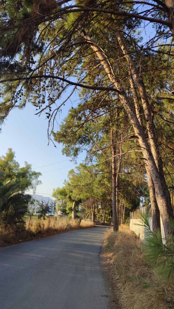 Περιποιηση Πρασινου