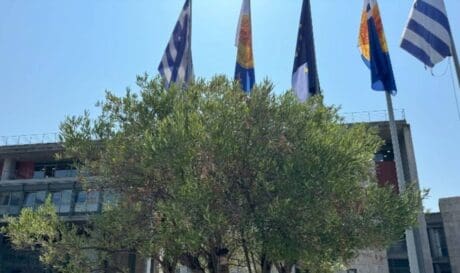 Θεσσαλονίκη ελαιόλαδο