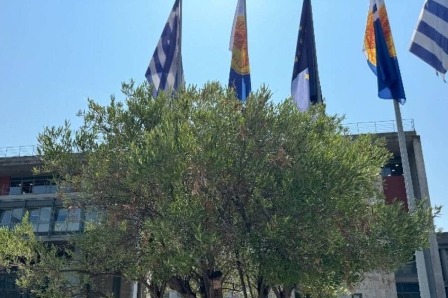Θεσσαλονίκη ελαιόλαδο