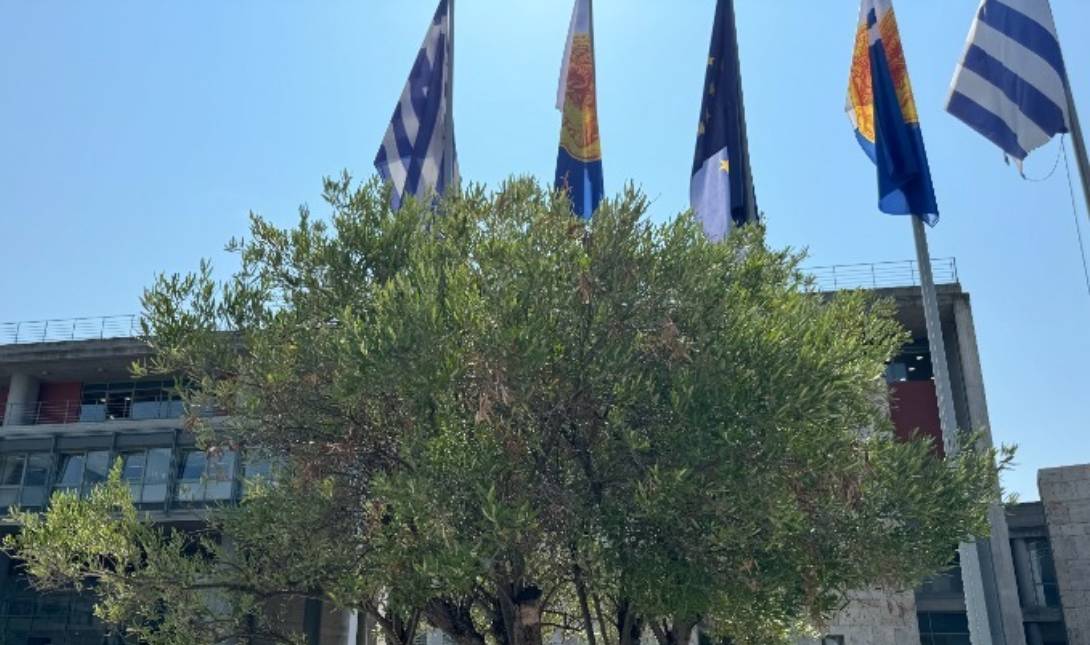 Θεσσαλονίκη ελαιόλαδο