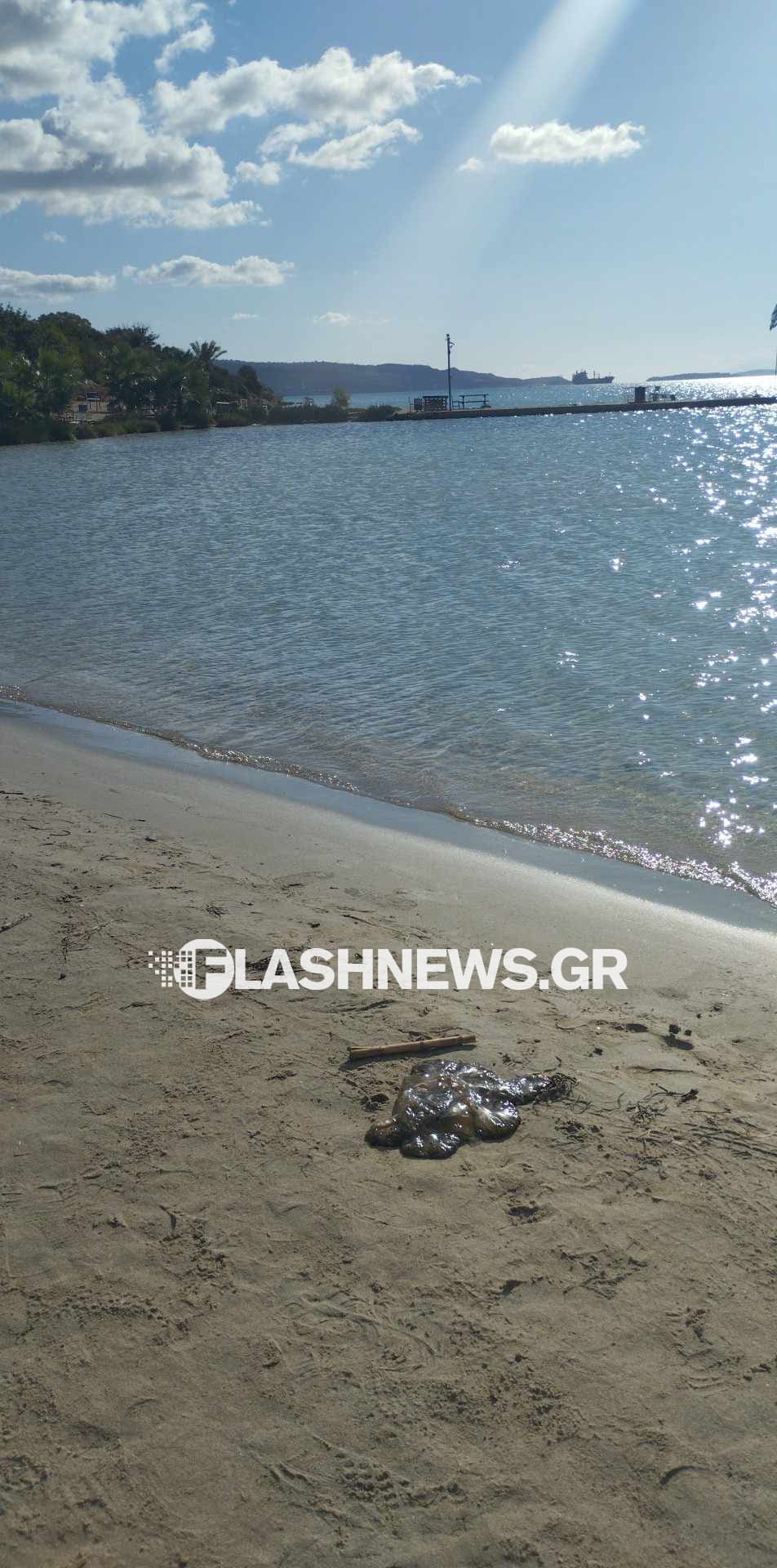τσούχτρες