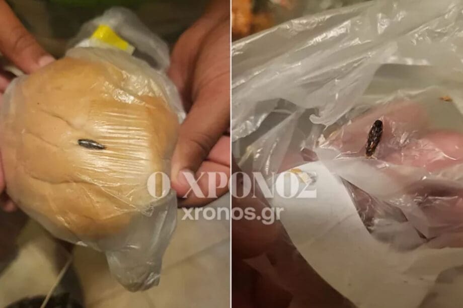 κομοτηνή κατσαρίδα