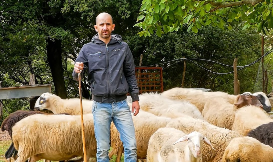 κτηνοτρόφος