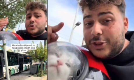 Δημήτρης γάτα λεωφορείο