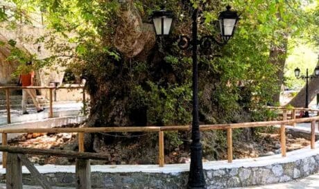 Δήμος Χερσονήσου