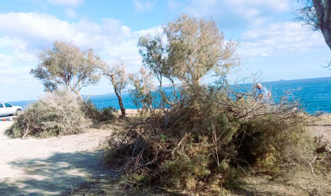 ΔΗΜΟΣ ΧΕΡΣΟΝΗΣΟΥ ΕΡΓΑΣΙΕΣ ΚΑΘΑΡΙΣΜΟΥ