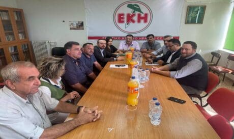 Παρασύρης