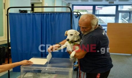 Πασοκ σκυλακι