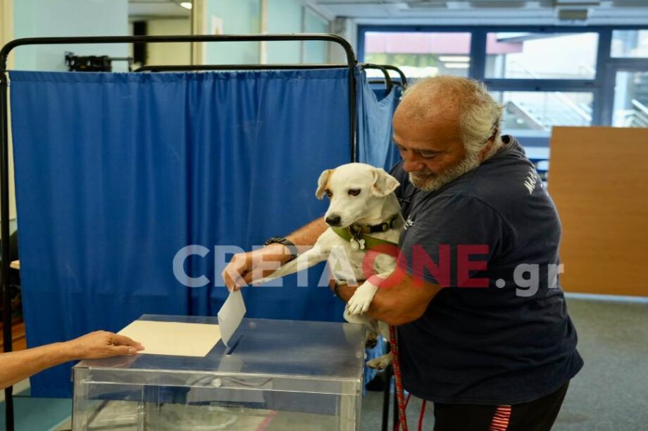 Πασοκ σκυλακι