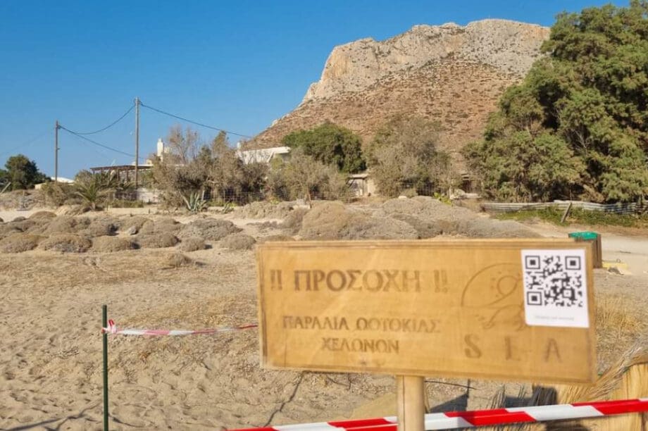 ΣΤΑΥΡΟΣ ΑΚΡΩΤΗΡΙΟΥ