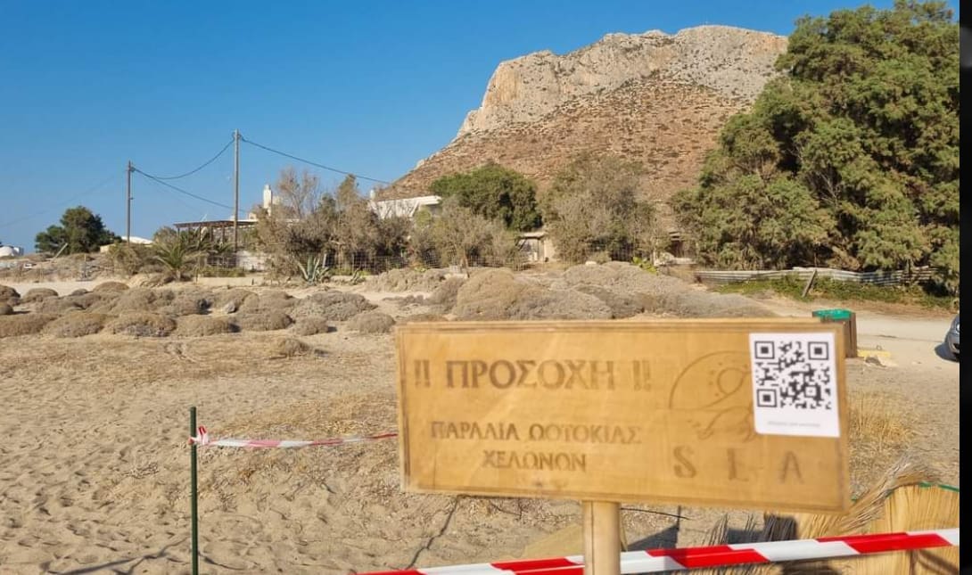 ΣΤΑΥΡΟΣ ΑΚΡΩΤΗΡΙΟΥ