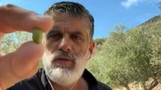 Μύρων Χιλετζάκης λάδι ελαιόλαδο ελιά
