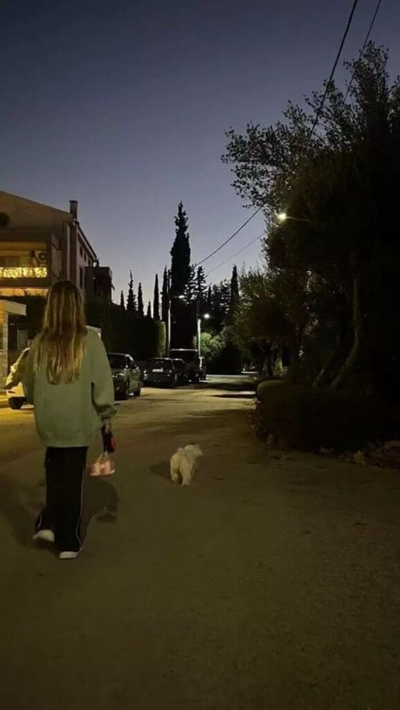 μενεγακη 