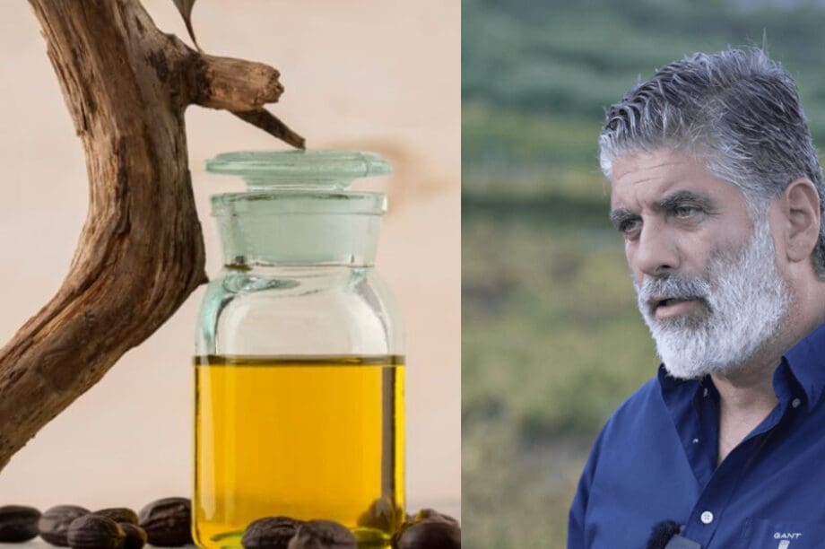 ΧΙΛΕΤΖΑΚΗΣ ΕΛΑΙΟΛΑΔΟ