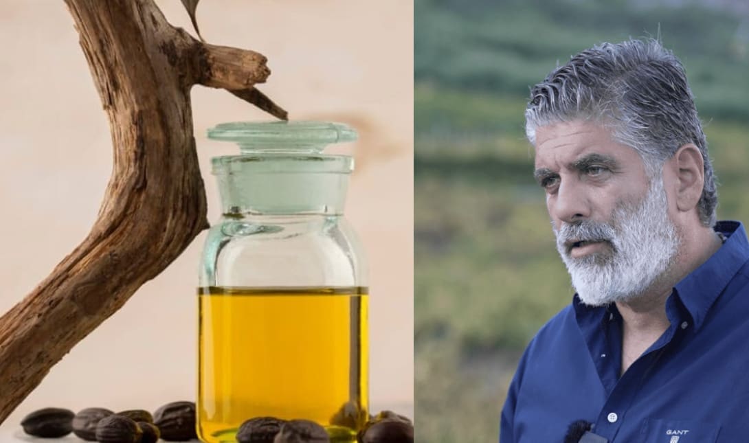 ΧΙΛΕΤΖΑΚΗΣ ΕΛΑΙΟΛΑΔΟ