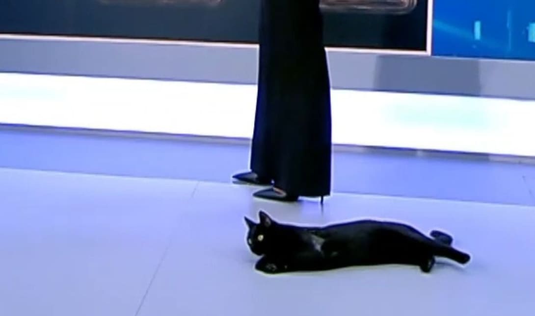 ΓΑΤΑ