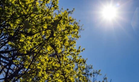 ΗΛΙΟΣ ΗΛΙΟΦΑΝΕΙΑ ΚΑΛΟΚΑΙΡΙΑ ΚΡΗΤΗ