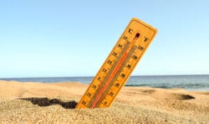 ΚΑΥΣΩΝΑΣ ΘΕΡΜΟΜΕΤΡΟ ΖΕΣΤΗ