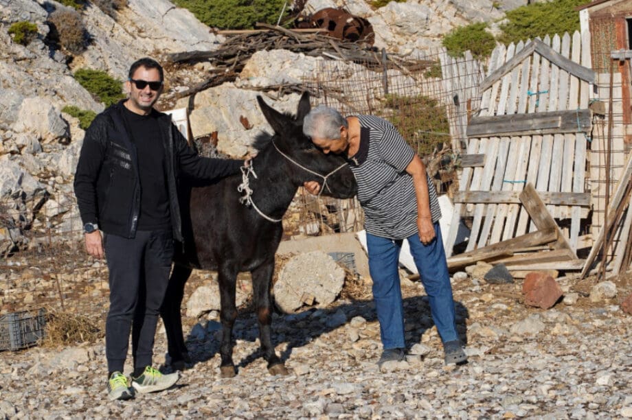 Κίναρος γαϊδαράκος