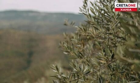 λιομαζωμα καταζητουμενοι Χανιά