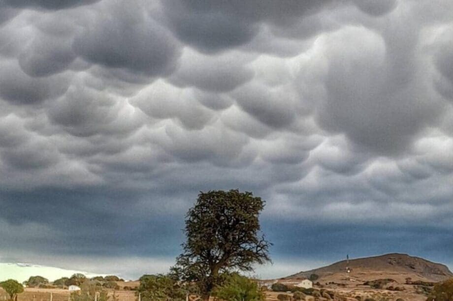 Mammatus