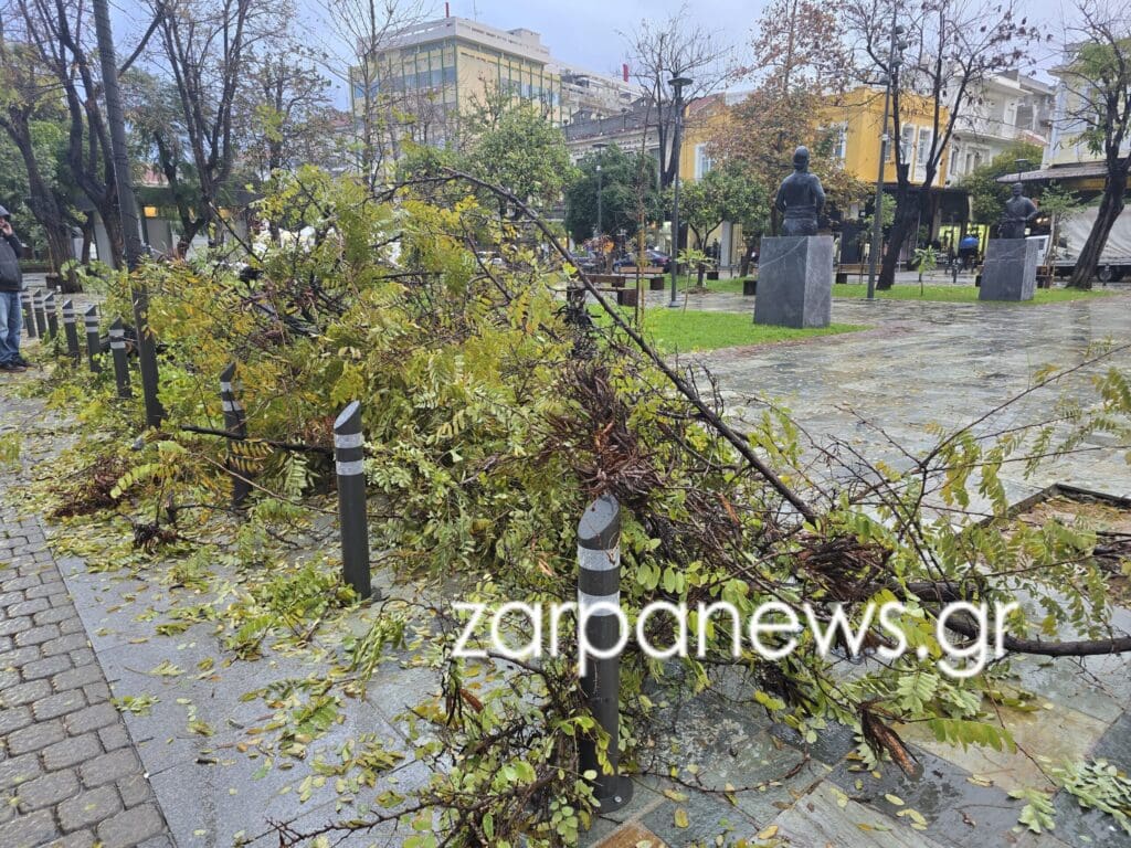 ΠΤΩΣΗ ΔΕΝΤΡΟΥ ΧΑΝΙΑ