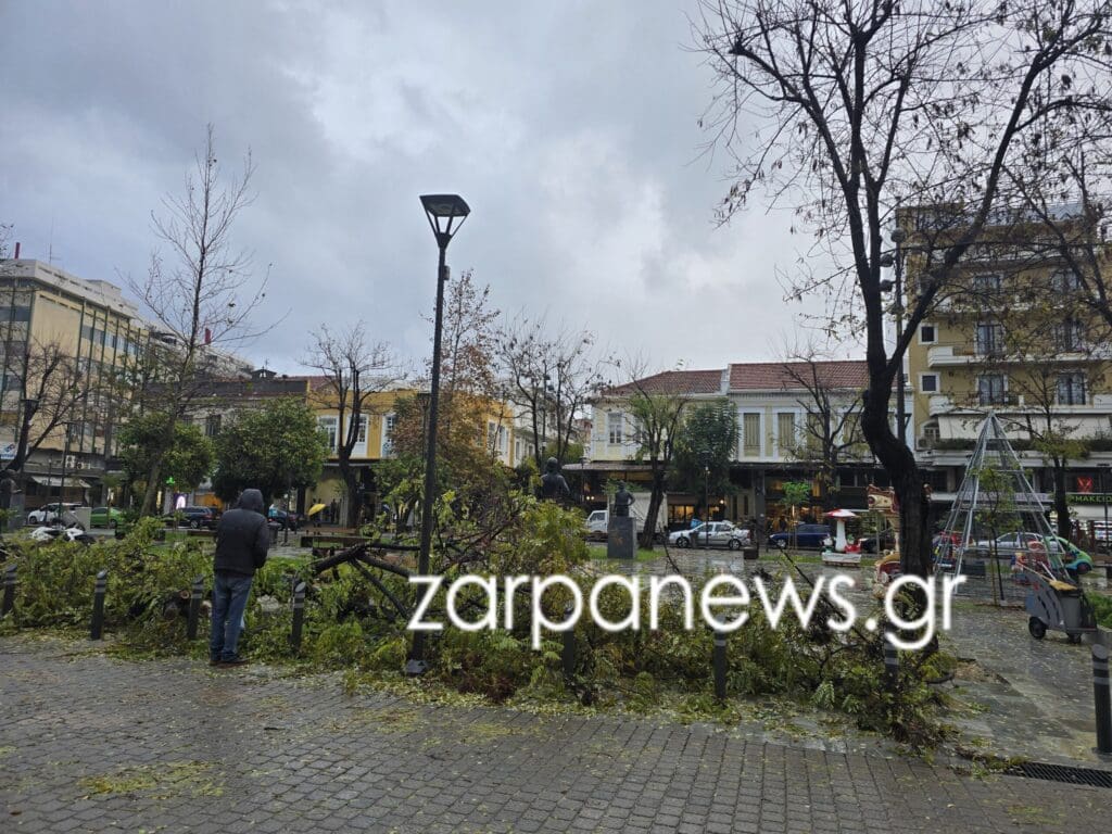 ΠΤΩΣΗ ΔΕΝΤΡΟΥ ΧΑΝΙΑ