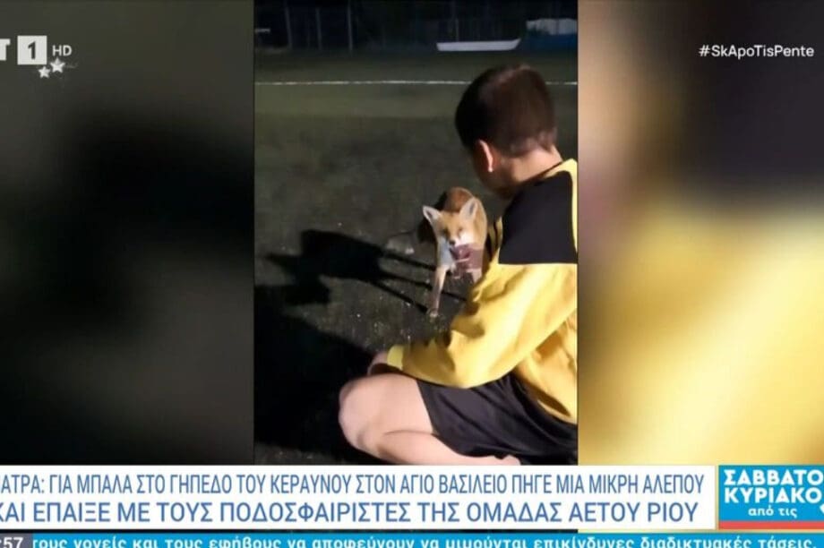 ΑΛΕΠΟΥ