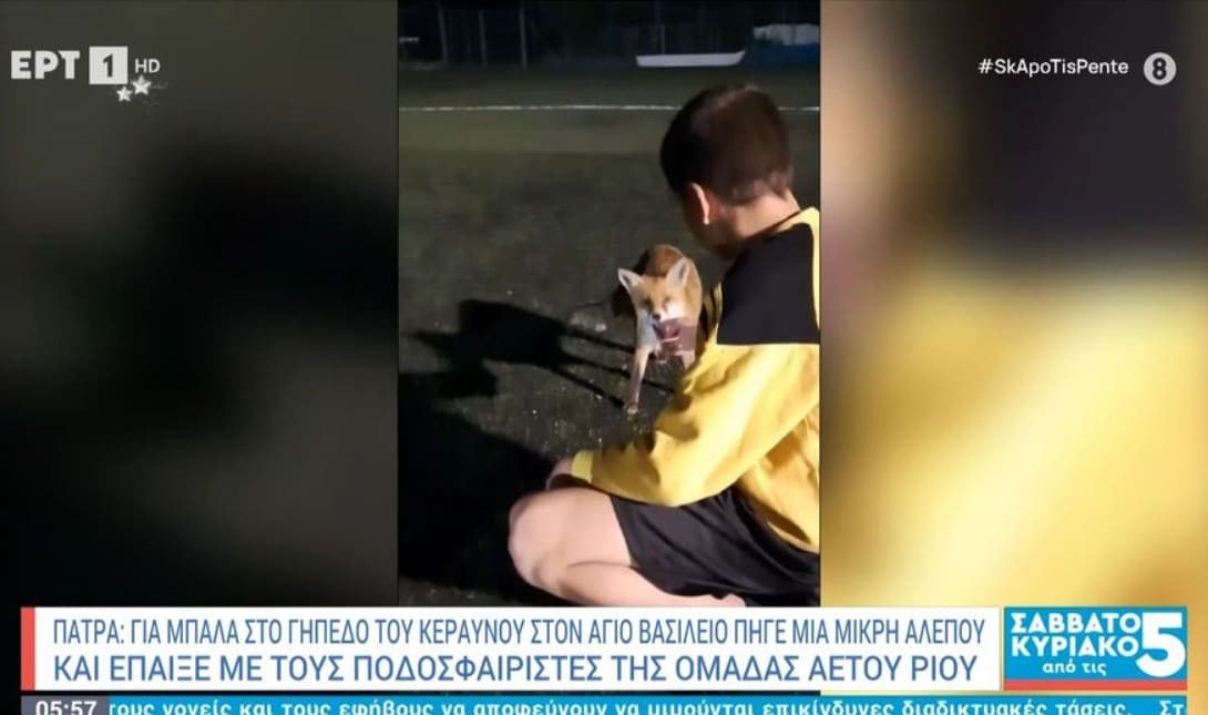ΑΛΕΠΟΥ