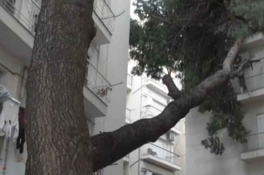 ΠΤΩΣΗ ΔΕΝΤΡΟ ΠΟΛΥΚΑΤΟΙΚΙΑ