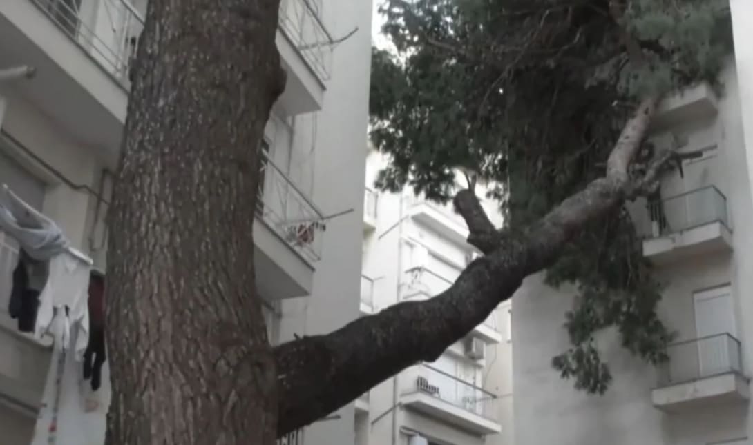 ΠΤΩΣΗ ΔΕΝΤΡΟ ΠΟΛΥΚΑΤΟΙΚΙΑ