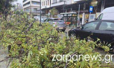 ΠΤΩΣΗ ΔΕΝΤΡΟΥ ΧΑΝΙΑ