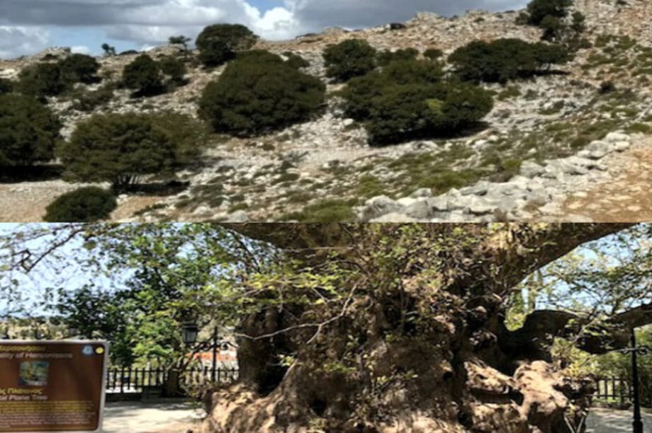 εκδρομη