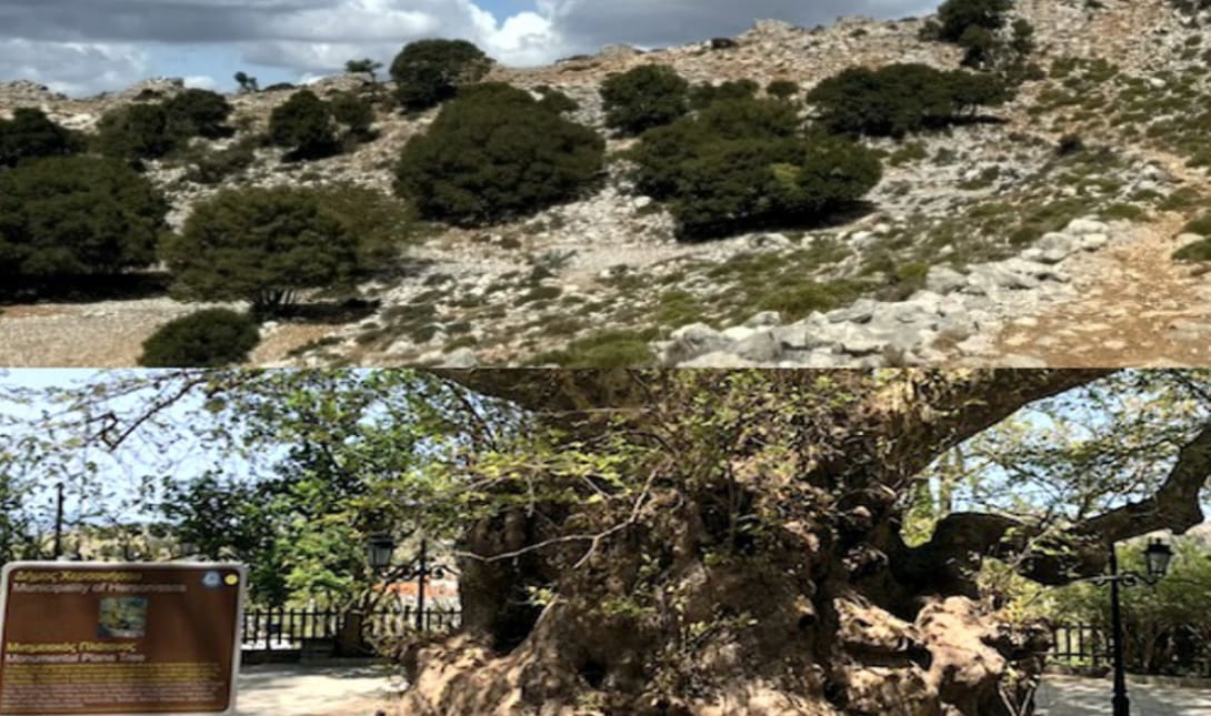 εκδρομη