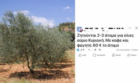 λιομάζωμα