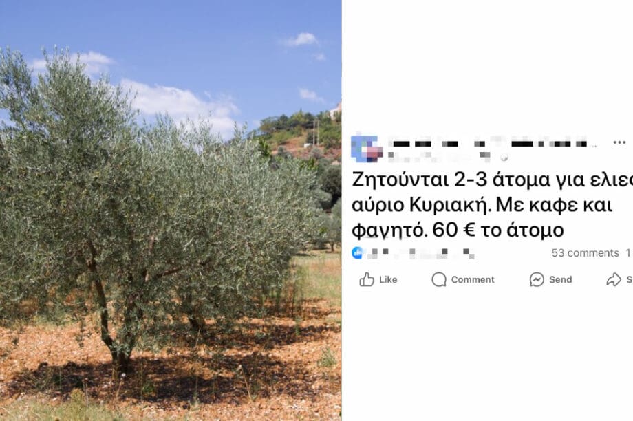 λιομάζωμα
