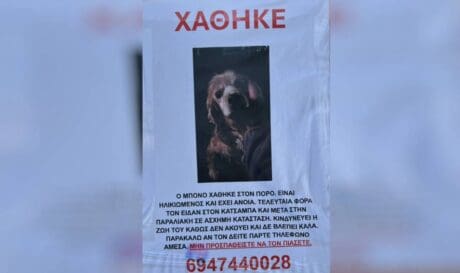 Μπόνο