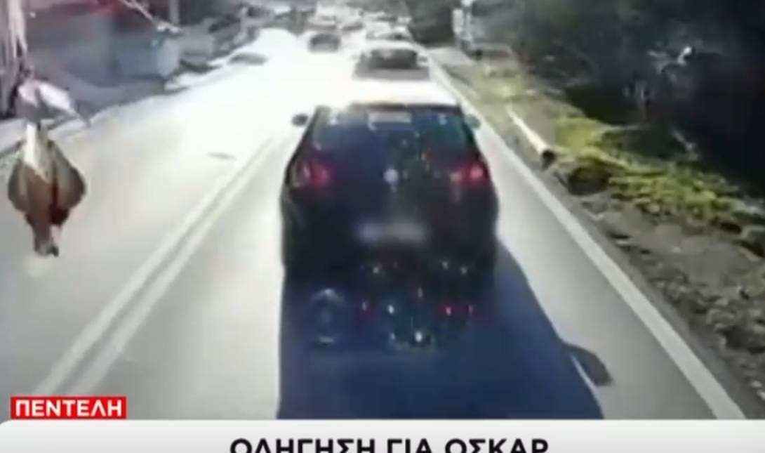 οδηγος