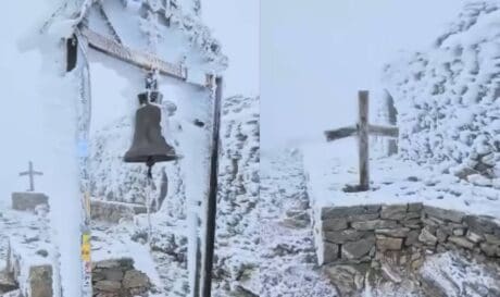 Ψηλορείτης