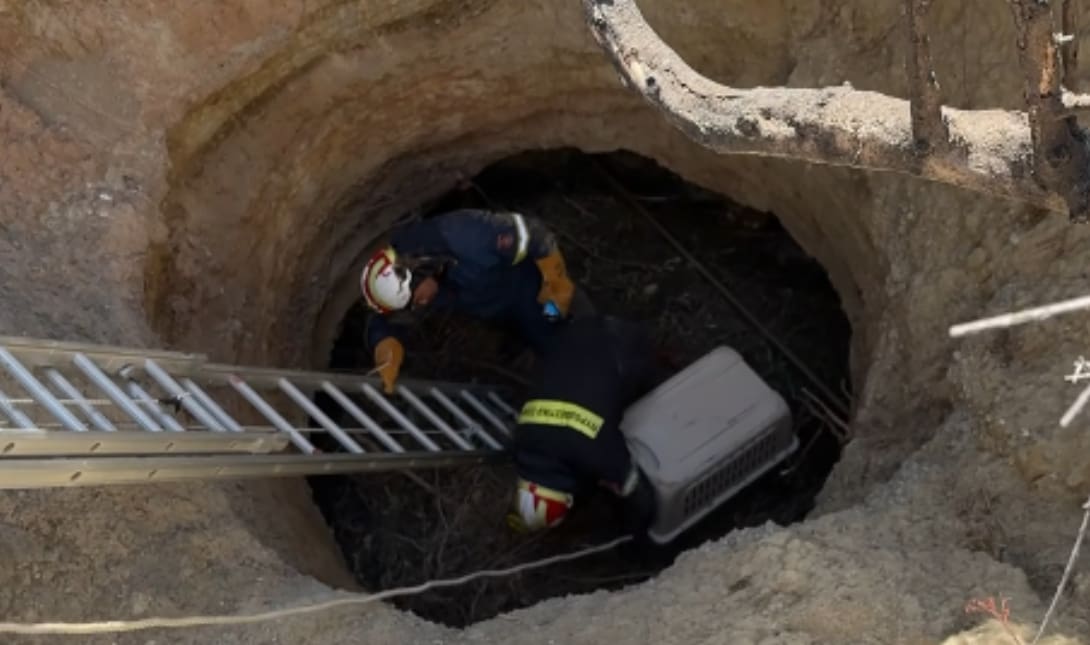 Ιεράπετρα κουτάβια