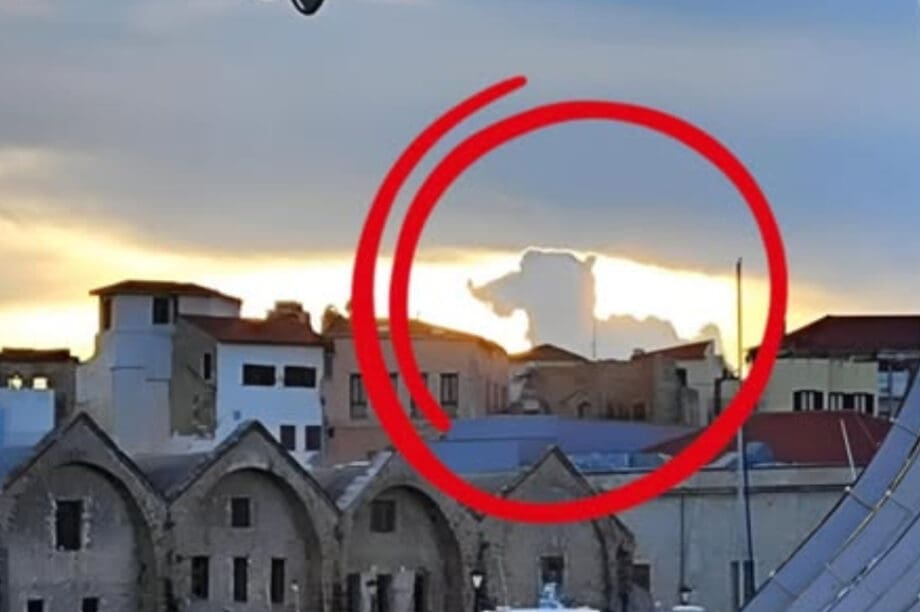 πάπια ουρανός