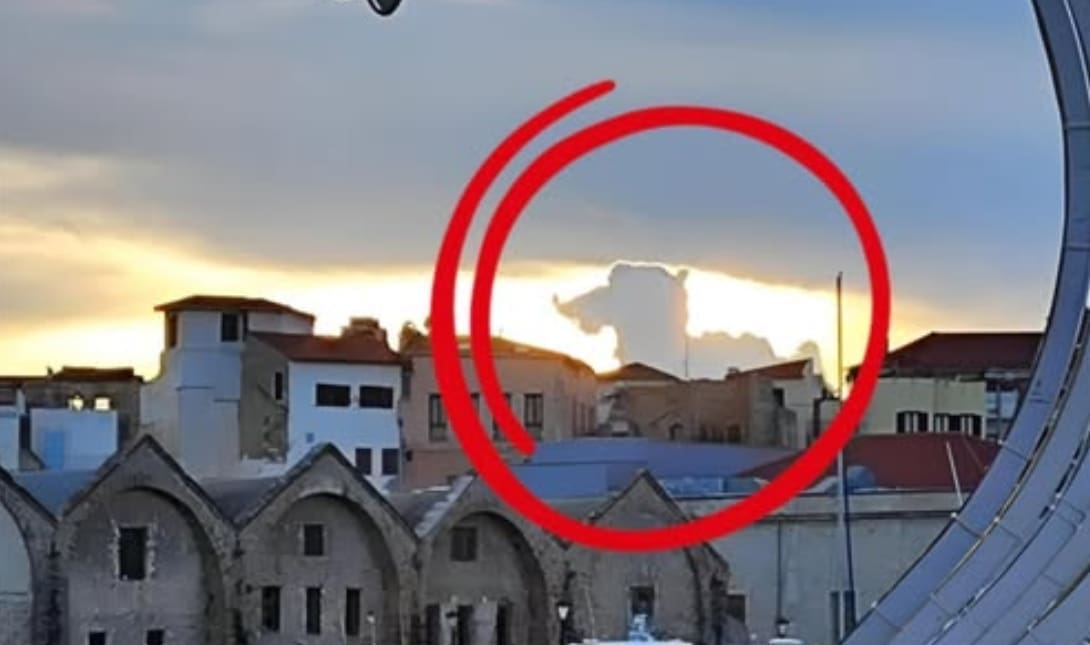πάπια ουρανός