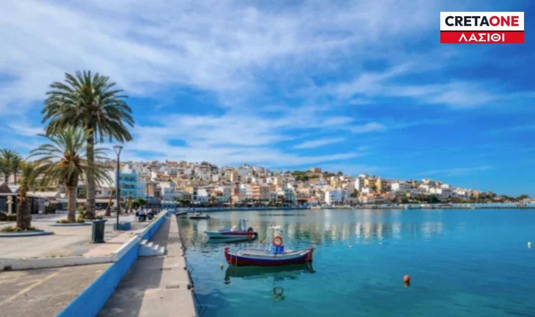 Σητεία αράχνη