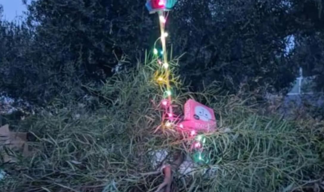 ΣΚΟΥΠΙΔΙΑ ΛΑΜΠΑΚΙΑ ΛΑΜΠΙΟΝΑ ΜΕΣΑΜΠΕΛΙΕΣ